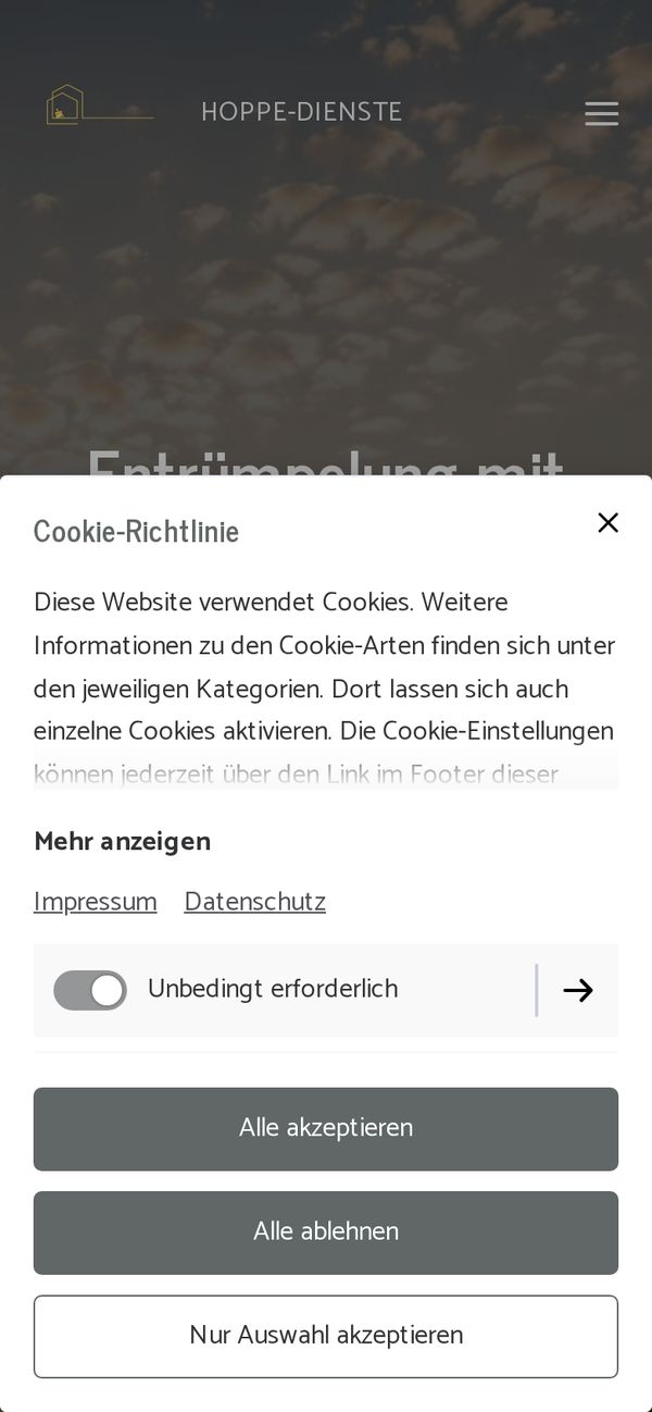 Alte Seite am Handy, Cookie-Hinweis verdeckt fast alles